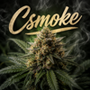 Csmoke - Accueil