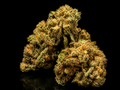 Master Kush Delta-10 THC